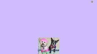 Thumbnail of pristinepetsevergreenpark.com