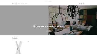 Thumbnail of basicluxinc.com
