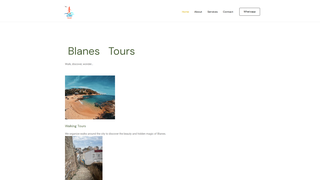 Thumbnail of blanestours.com