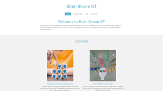 Thumbnail of brainbloomot.com