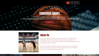 Thumbnail of tenacioushoops.com
