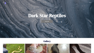 Thumbnail of darkstarreptiles.org