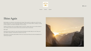 Thumbnail of shine-again.com
