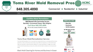 Thumbnail of tomsrivermoldremediation.com