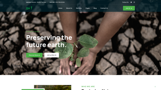 Thumbnail of sustainableearthfoundation.org