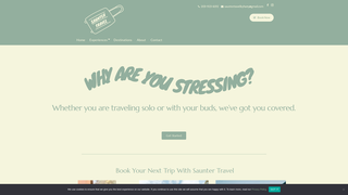 Thumbnail of saunter-travel.com