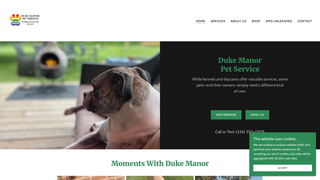 Thumbnail of dmspets.com