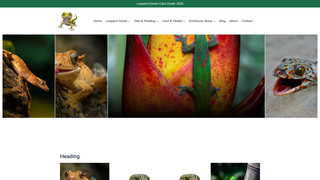 Thumbnail of geckocareguide.com