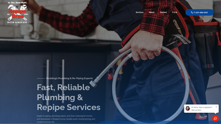 Thumbnail of repipebrosusa.com