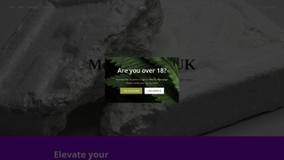 Thumbnail of medsporter.com