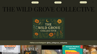 Thumbnail of thewildgrovecollective.com