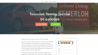 Thumbnail of temerlohtowing.com