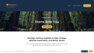 Thumbnail of portivioconsulting.com