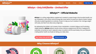 Thumbnail of mitolyyns.com