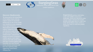 Thumbnail of surgingseasexplore.com