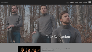 Thumbnail of trioevocacion.org