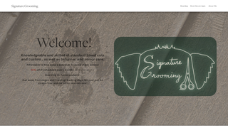 website thumbnail