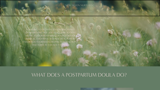 Thumbnail of newmoonnurturing.com