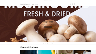 Thumbnail of beejvedanaturals.com