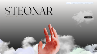 Thumbnail of steonar.org