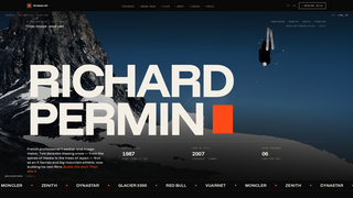 Screenshot of richardpermin.com