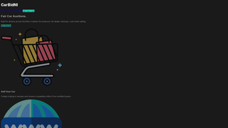 Thumbnail of carbidni.com