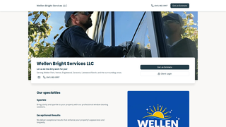 Thumbnail of wellenbright.com