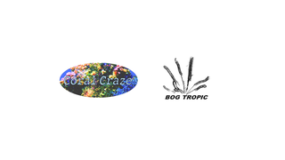 Thumbnail of coralcrazebogtropic.com