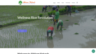 Thumbnail of abhiramnaturals.com
