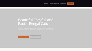 Thumbnail of mainermicibengals.com