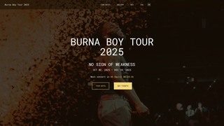 Thumbnail of burnaboyworldtour.com