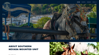 Thumbnail of snmu.org