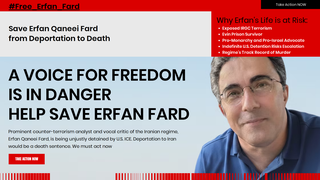 Thumbnail of saveerfan.com