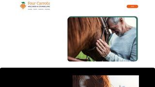 Thumbnail of fourcarrotswellness.com