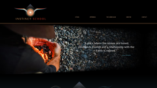 Thumbnail of instinct-school.com