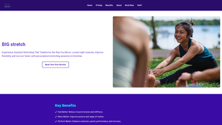 Thumbnail of bigstretchencinitas.com