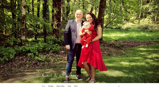 Thumbnail of padraigandceciwedding.com