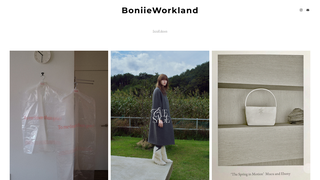 Thumbnail of boniieworkland.com