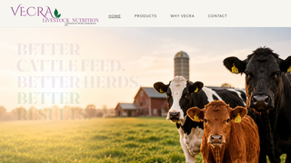 Screenshot of vecrafeeds.com