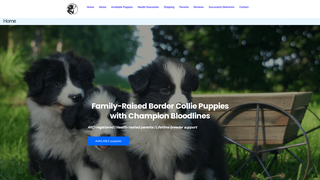 Thumbnail of royalbordercolliepuppies.com