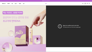 Thumbnail of pibkorea.com