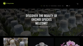Thumbnail of yiyingorchids.com