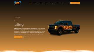 Thumbnail of pupostrucking.com