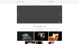 Thumbnail of shootthemoosefineart.com