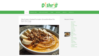 Thumbnail of dishrio.com