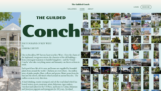 Thumbnail of theguildedconch.com