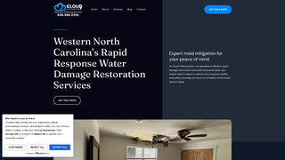 Thumbnail of cloud9restoration.com