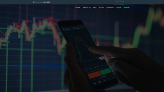 Thumbnail of wealthintroreturns.com