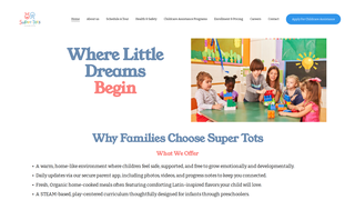 Thumbnail of supertotsny.com
