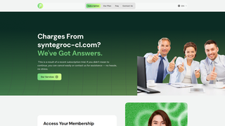 Thumbnail of syntegroc-cl.com